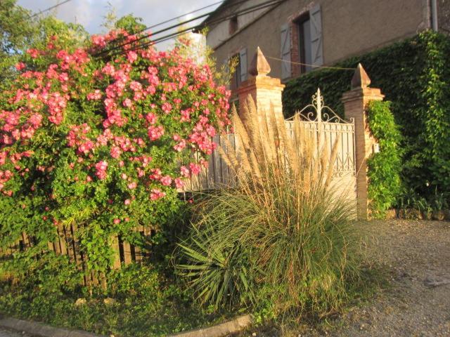 La Demeure De La Coste Bed & Breakfast Vieux  Exterior photo